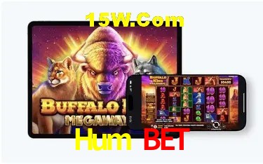 Provedores de Jogos Hum Bet