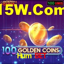 Roulette Table Hum Bet
