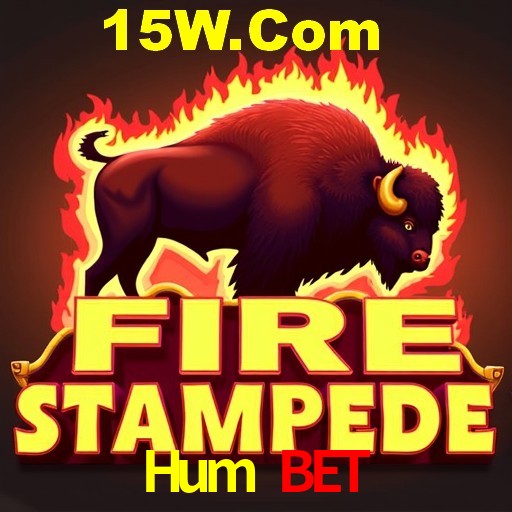 Descubra o Mundo do Cassino Online com Hum Bet