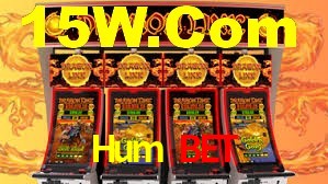 Explore as vantagens do Hum Bet: serviço profissional e confiabilidade